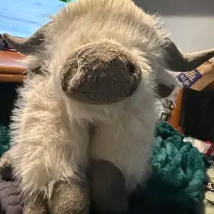 Fiona H.