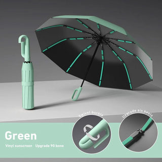 The Last Umbrella