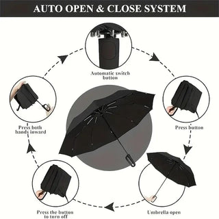 The Last Umbrella