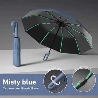 The Last Umbrella