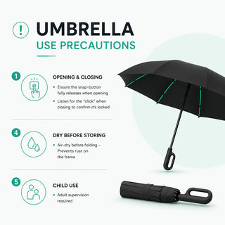 The Last Umbrella