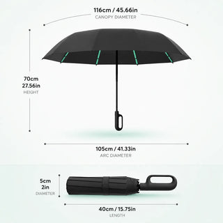 The Last Umbrella