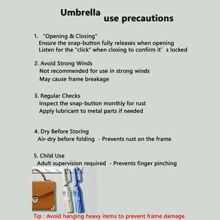 The Last Umbrella
