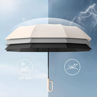 The Last Umbrella