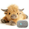 Highland Cow Brown